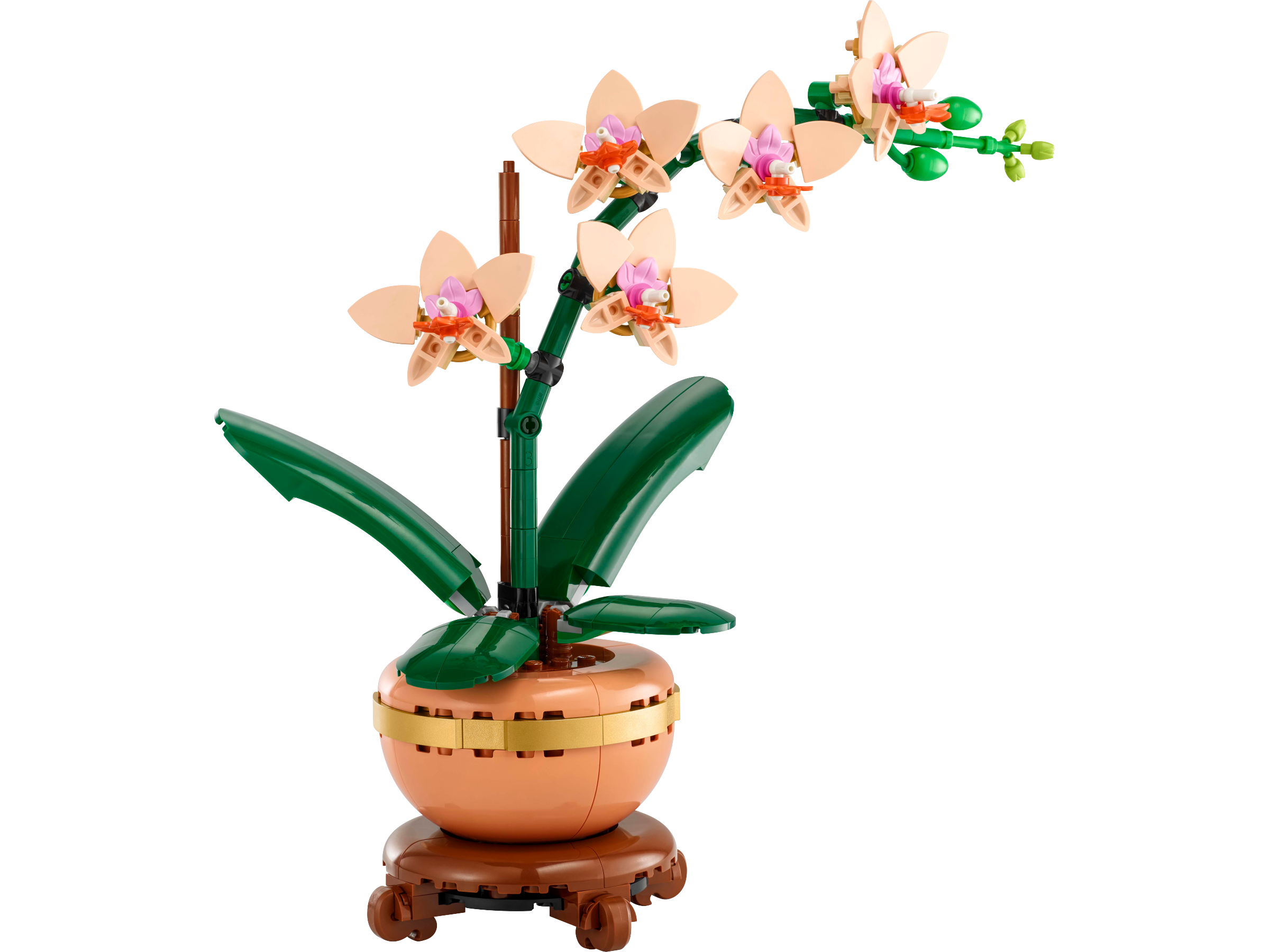 LEGO Botanicals Mini Orchid (10343) - Image 1