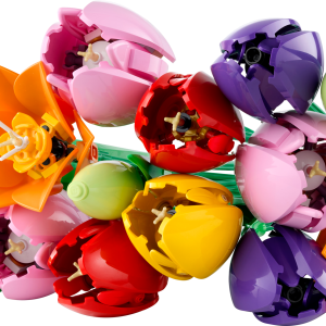 LEGO Botanicals Tulip Bouquet (11501)